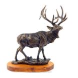 A Desktop Bronze Of A Stag, Early 20th Century. H:46 cm W:38 cm.