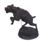 A 20th Century Bronze Sculpture Of A Lunging Mastiff H:61 cm.