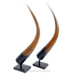 A Pair Of Brown Hand Blown Horns H:66 cm.