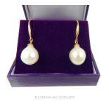 Akoya White Pearl Drop Earrings.