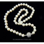 Cultured Pearls With Diamond Clasp.