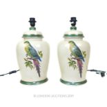 Two Chinese Style Lamps With Exotic Birds.