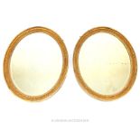 Regency Oval Gilt Frames Mirrors.