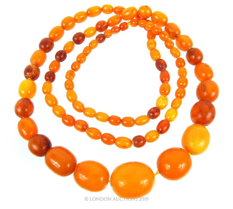 A Large Necklace Of Baltic Amber Beads