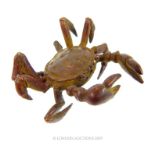 A Mini Bronze Of A Crab.
