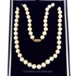 A Classical lovely lustre 18 inch AAA++ Akoya White Pearl Necklace with 14 carat clasp