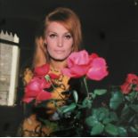 Tony GRYLLA (Né en 1941) - Dalida dans sa maison, Paris, 1972 - Tirage argentique [...]