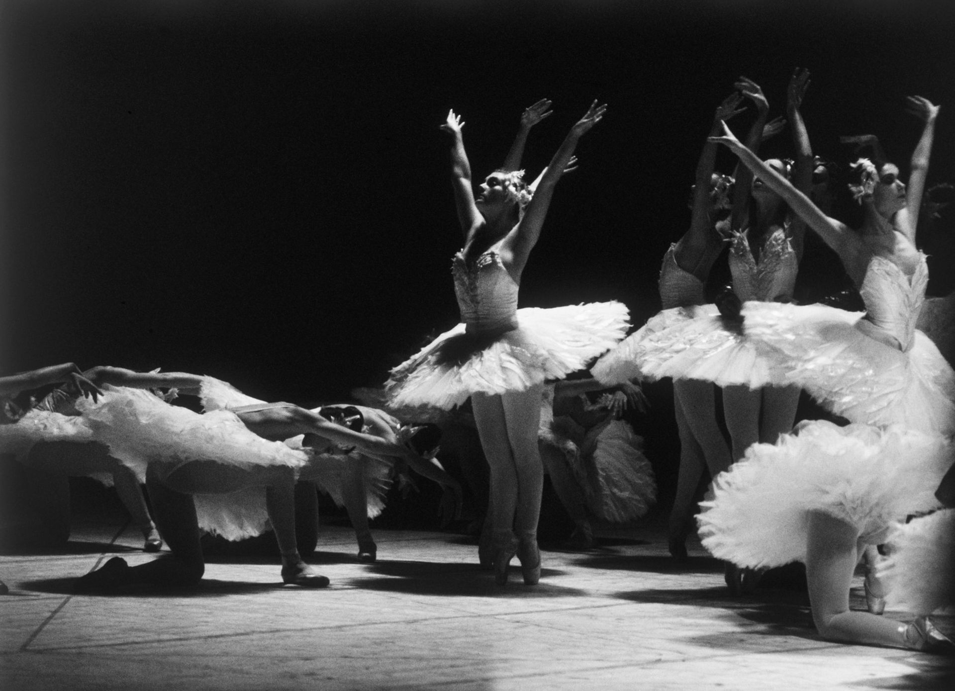 Daniel CANDE (Né en 1938) - Le Lac des cygnes - Tirage argentique, signé et [...]