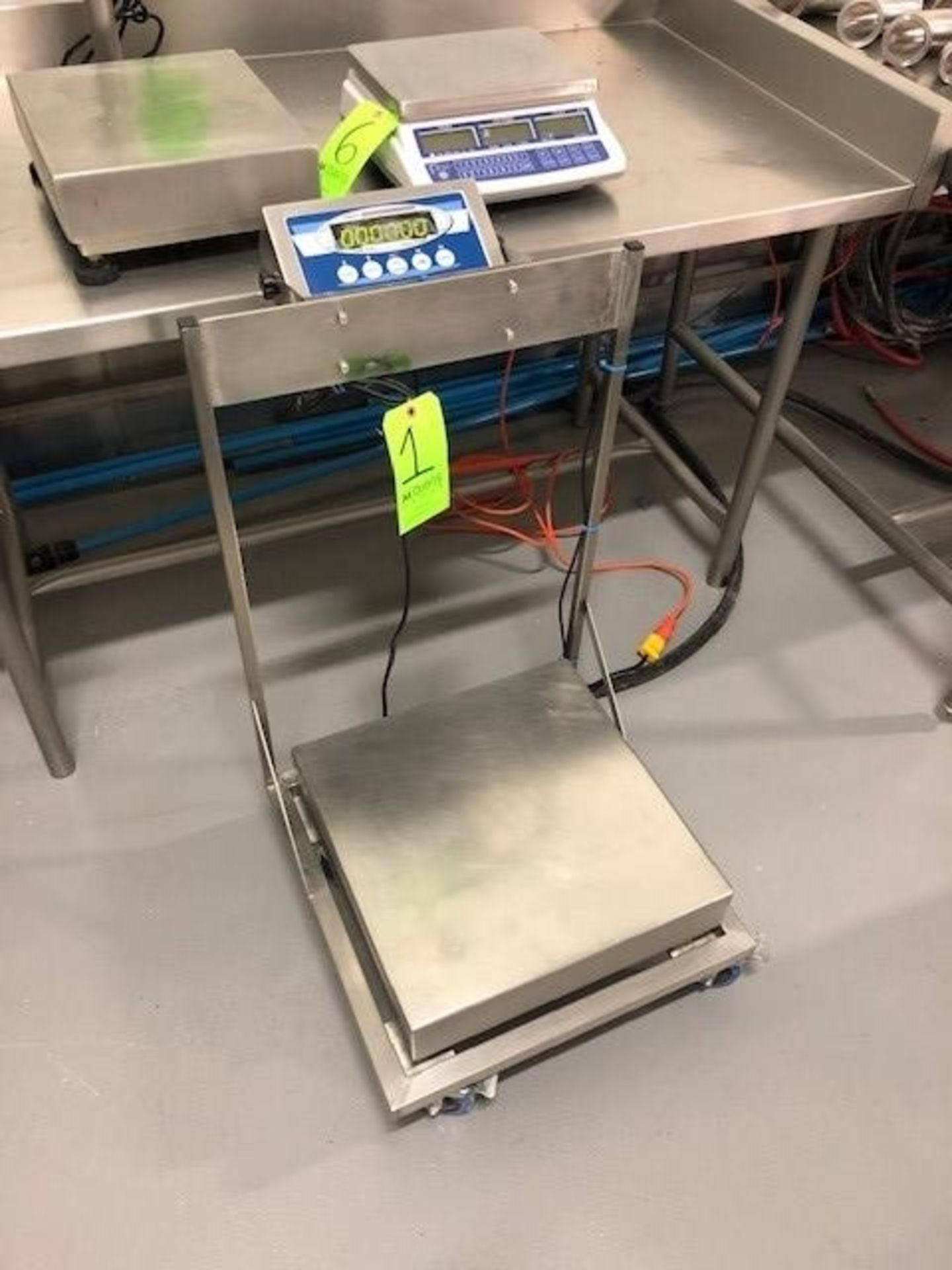 Transcell S/S Digitial Platform Scale, M/N TI-1520, Mounted on S/S Portable Frame, Platform Dims.: