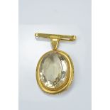 9ct gold brooch with citron.