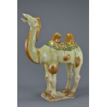 A Chinese Tang dynasty 618-907 AD Sancai glazed po