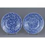 A pair of Chinese 18th century blue and white porcelain plates. 22.5cm diameter