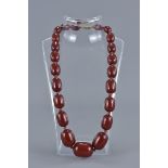 An antique cherry amber Bakelite beaded necklace.