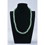 A Single Row of 57 Ungraduated natural Green colour Jadeite jade Beads in a Necklace, polished with