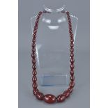 Cherry Amber Bakelite Necklace containing 41 Graduating Ovoid Beads, approx. 60 grams