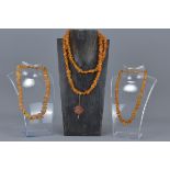 Three Baltic Amber Bead Chip Necklaces, approx. 90 grams total weight