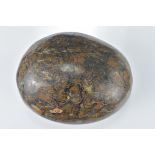 A polished fossilized stone pebble. 8Cm x 6.5cm