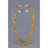 An amber beaded necklace