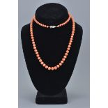 A natural coral graduated beaded necklace