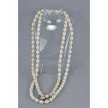 Long String of approximately 108 White Jade Style beads