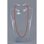 An ungraduated natural coral beaded necklace
