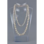 A graduated mother of pearl bead necklace