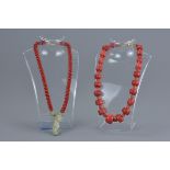 Red Polished Coral Necklace