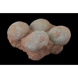 Very Rare Partial Nest of Genuine Fossilised Dinosaur eggs - Hadrosaur