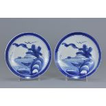 Pair of 19th century Japanese Porcelain Plates