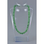 A graduated jade bead and 18ct white gold necklace