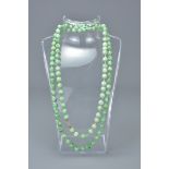 Chinese String of 100 Jade Beads, each bead 0.5cms