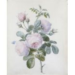 Attribué à Pierre-Joseph REDOUTÉ (1759-1840). Bouquet de fleurs Aquarelle. 41,2 x [...]