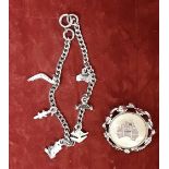 A white metal charm bracelet with six charms, plus a silver brooch depicting Australia.