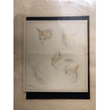 EDMUND DULAC - A coloured pencil drawing of six cats signed and dated