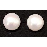 A pair of large freshwater pearl stud earrings on 9ct yellow gold posts.