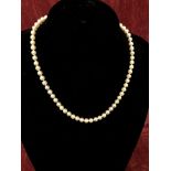 A single string of matched knotted pearls with a 9ct gold clasp.