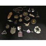 An assortment of costume jewellery including pendants, brooches, silver charms etc.