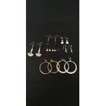An assortment of earrings including silver.
