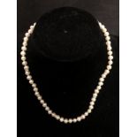 A row of freshwater pearls with silver spacers and clasp.
