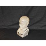 A Phrenology Head