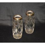 A Pair of Solid Silver and Cut Glass Vases, London 1928