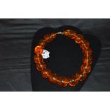 A Superb Set Large Amber Bead Necklace