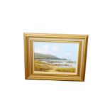 An Oil Painting 'Glen Head From Rosses' - Signed David Overend