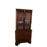 A Mahogany Two Door Display Cabinet