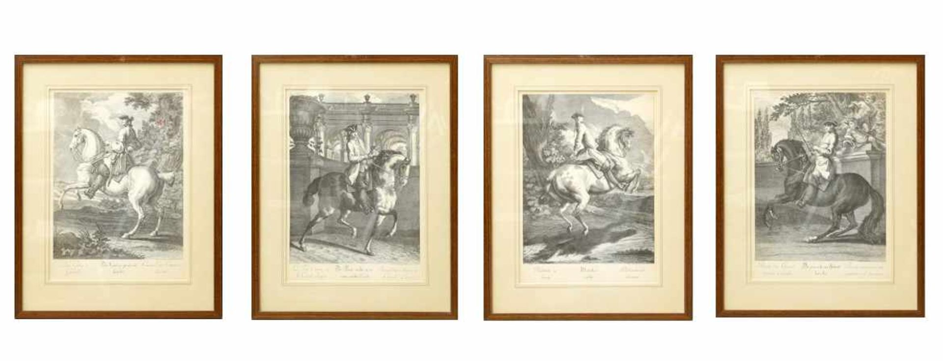 Ridinger, Johann Elias (1698-1767) - 4 Blatt Kupferstiche aus neue Reit-Schul"Der Galop gerad aus