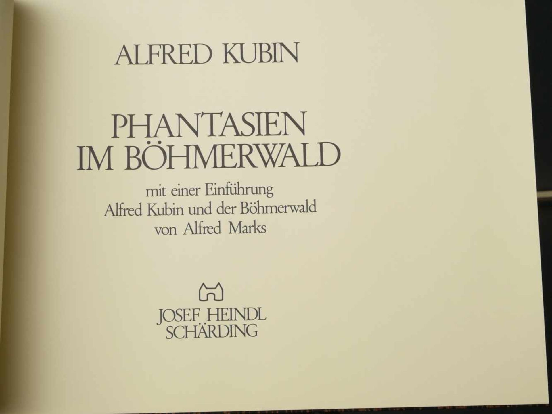 Kubin, Alfred (1877-1959) - Phantasien im Böhmerwald 1981 Schärding 79/300Phantasien im Böhmerwald - Bild 2 aus 5