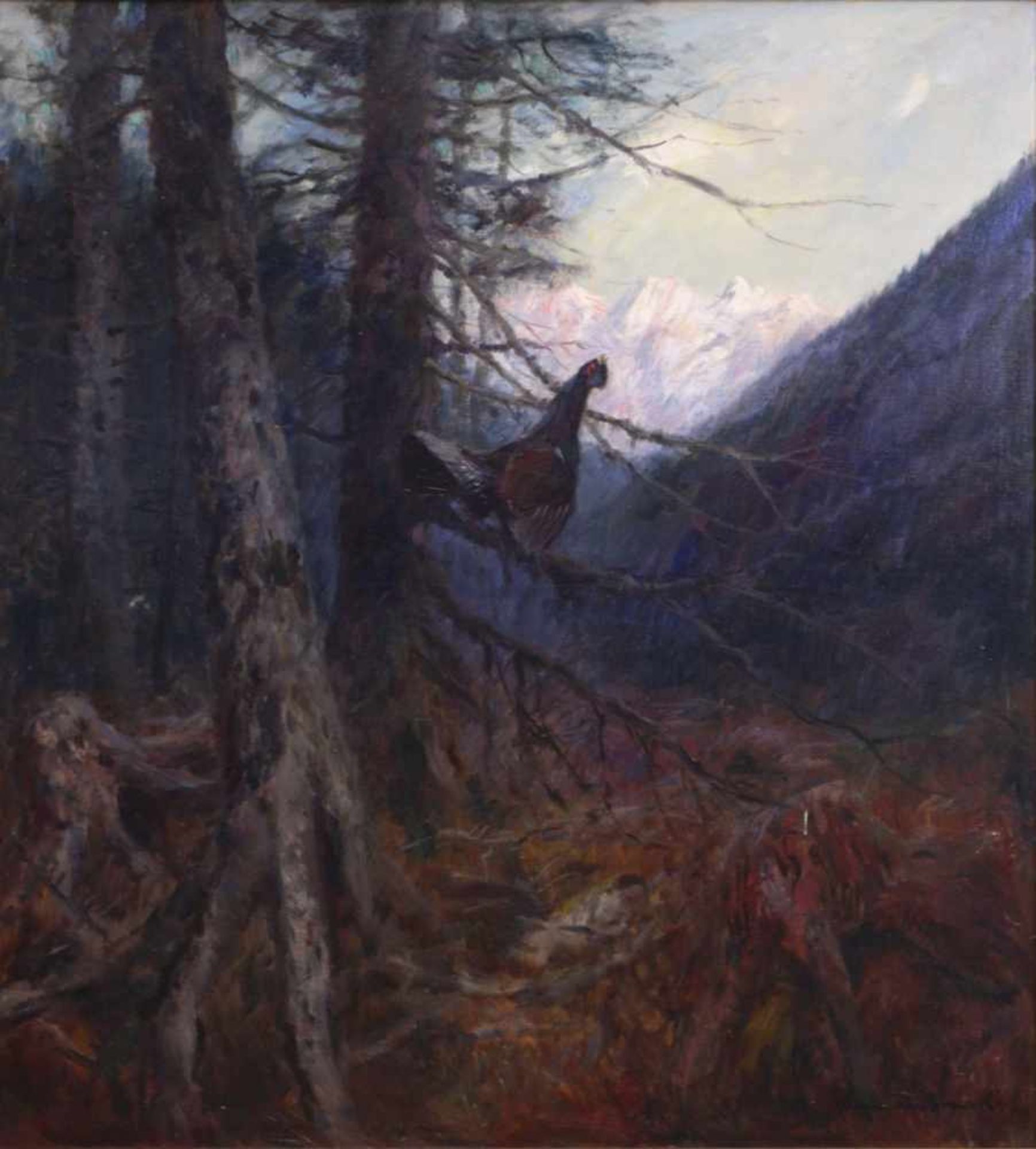 Dombrowski, Carl Ritter von (1872-1951) - Balzender AuerhahnAuf den kahlen Zweigen einer Lärche - Bild 2 aus 5