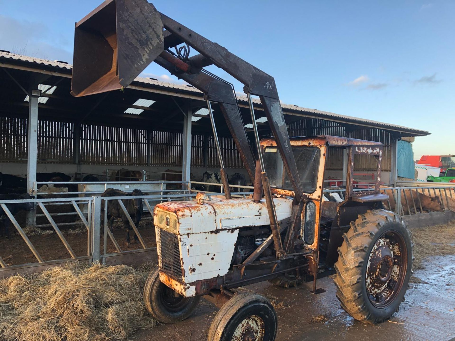 1971 DAVID BROWN 1200 TRACTOR, STARTS WITH A JUMP PACK, DRIVES AND LIFTS *PLUS VAT* - Bild 2 aus 16