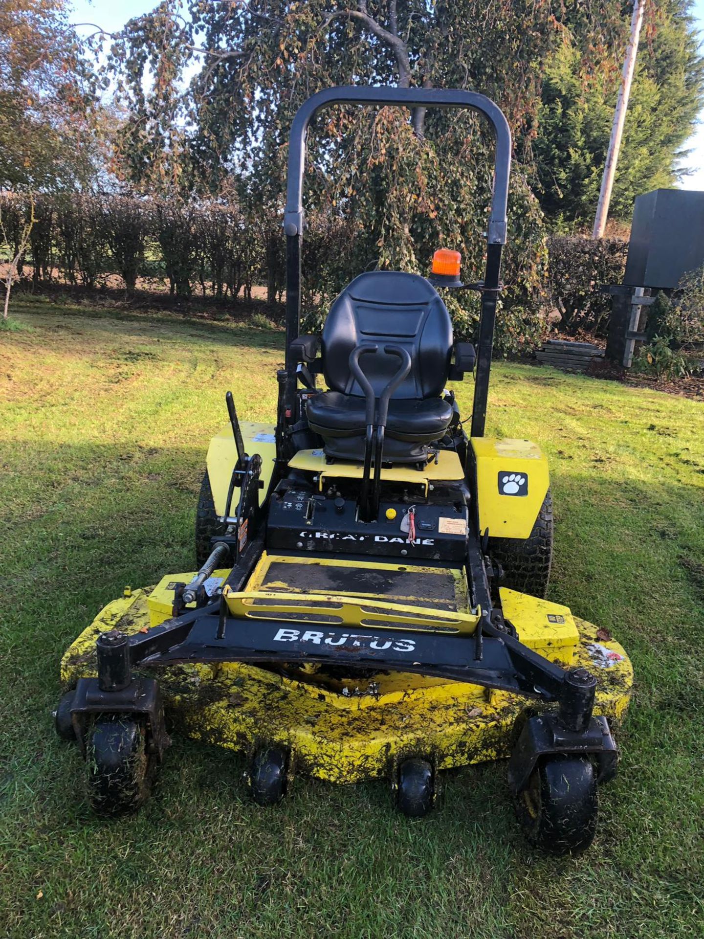 2012/12 REG GREAT DANE BRUTUS RIDE ON PETROL LAWN MOWER WITH DELUXE SEAT AND ROLL BAR *PLUS VAT* - Image 4 of 16