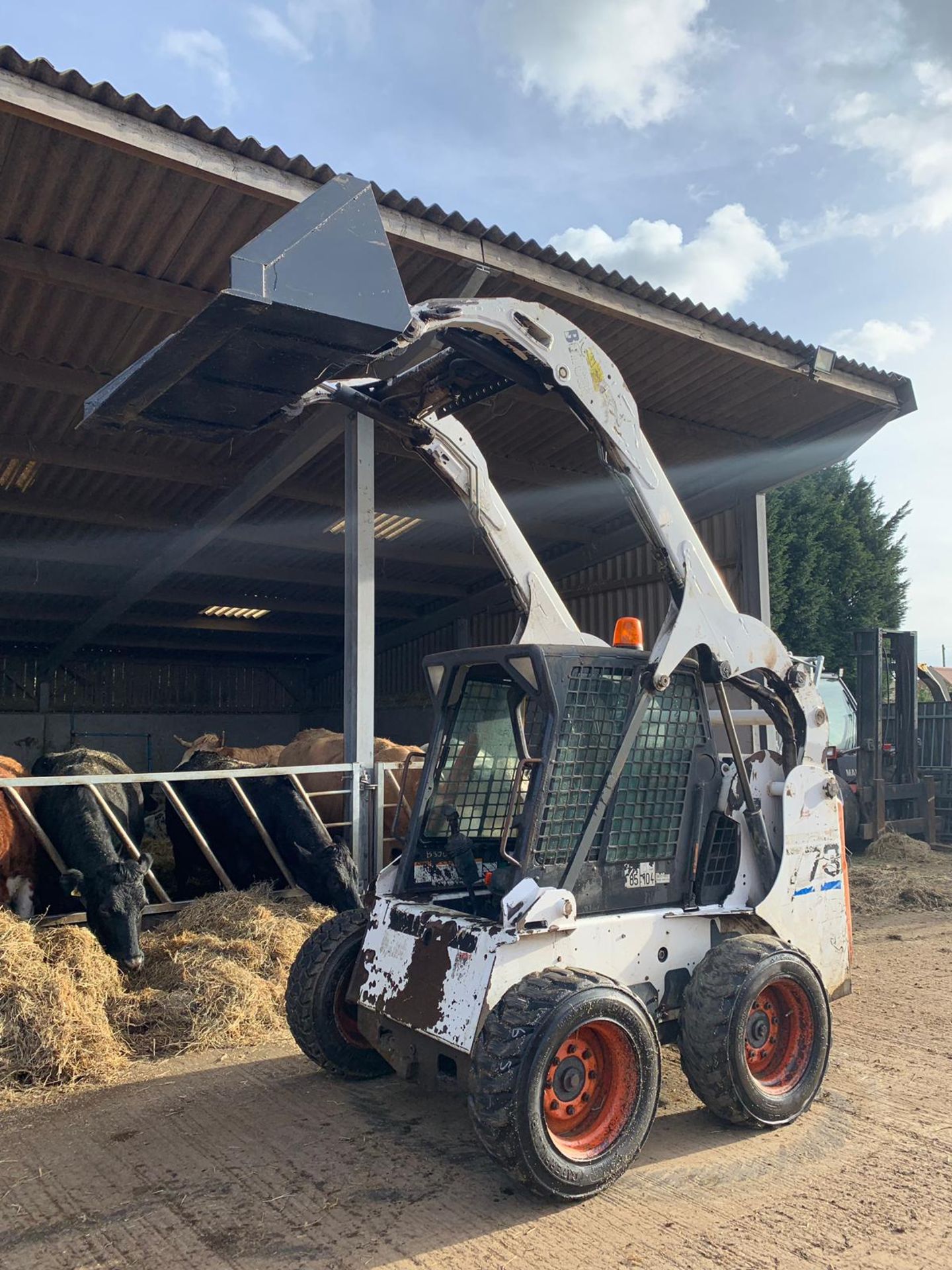 2001 BOBCAT SKIDSTEER 773, NEW BUCKET *PLUS VAT* - Image 10 of 18